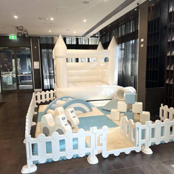 Castle & Mini Play Package